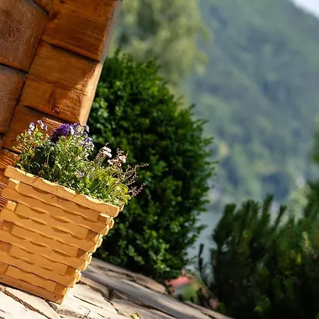 Kotelnica Holiday home